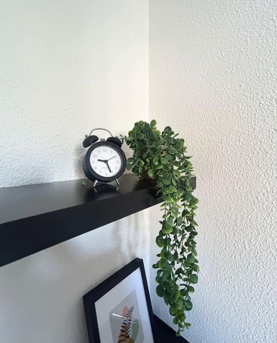 Appartement Nid Douillet à Lille Extérieur photo
